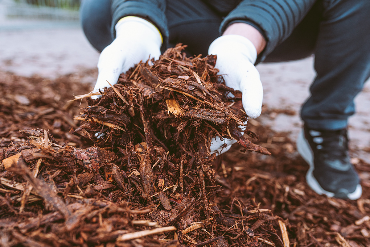 Bark Mulch