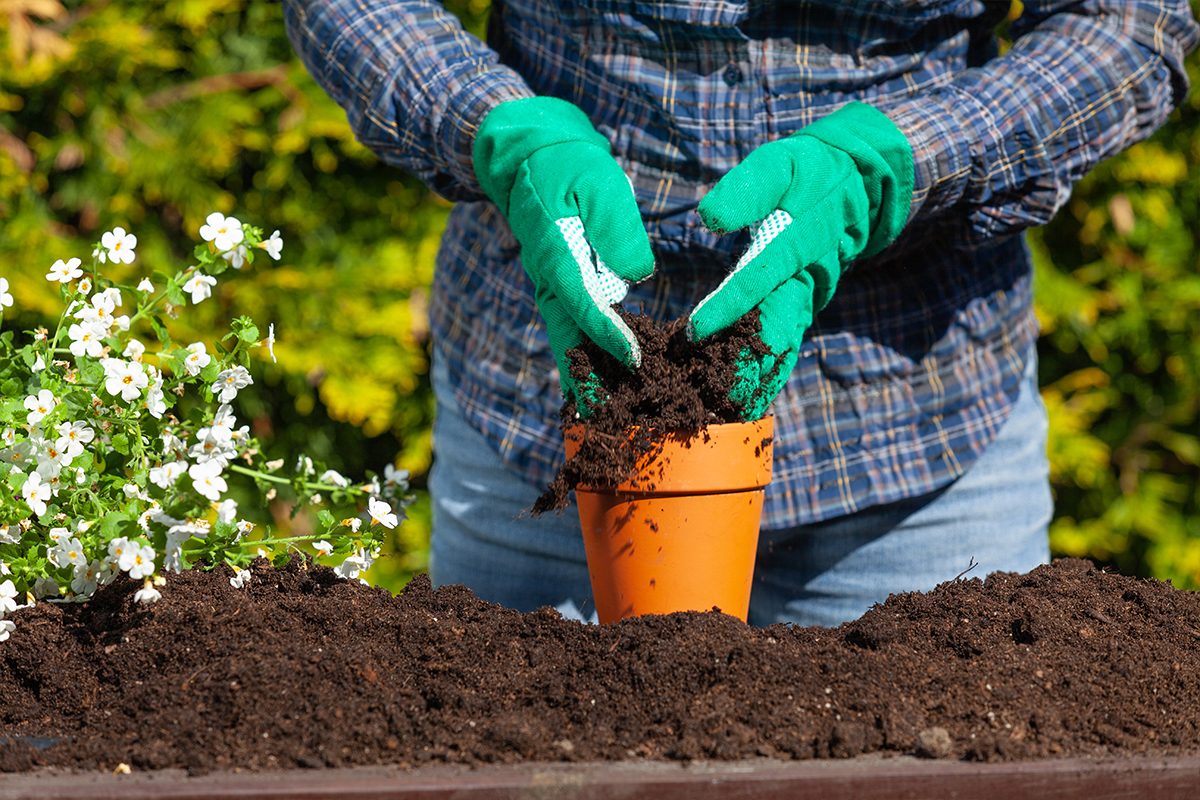 Topsoil Delivery