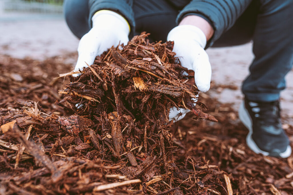 Bark Mulch