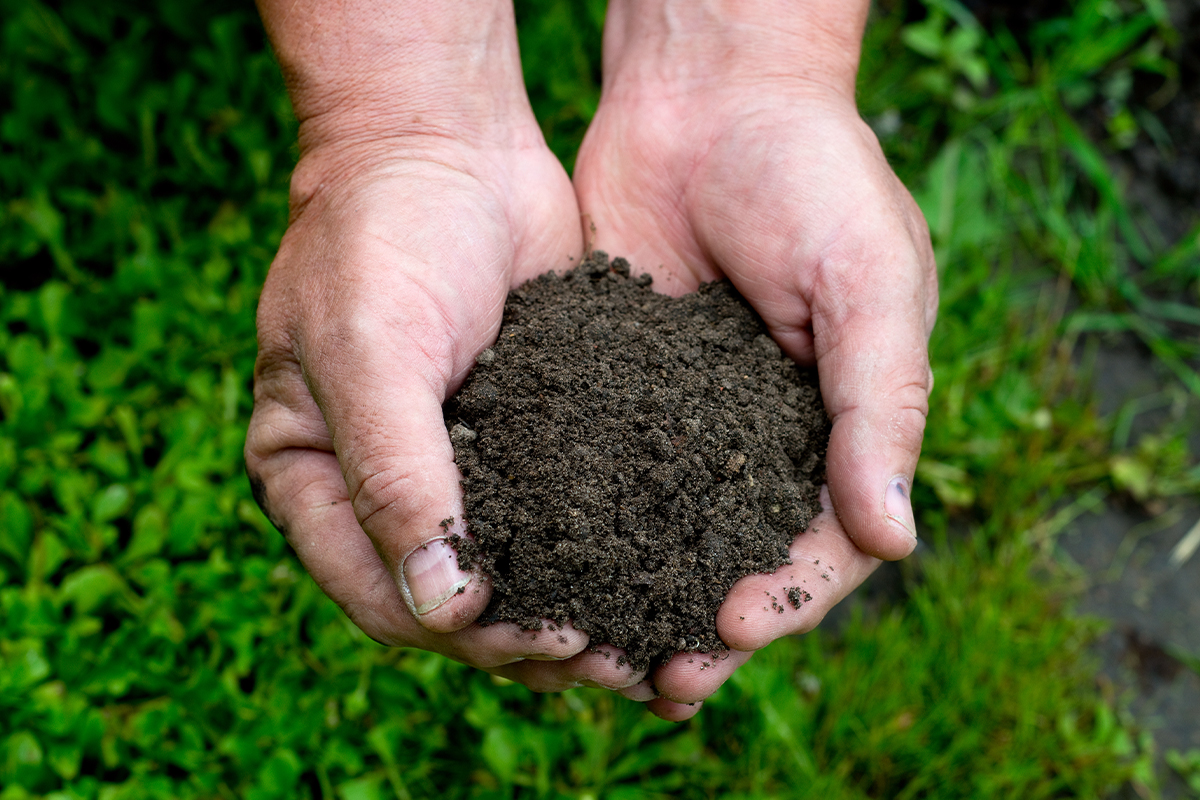 Topsoil Delivery