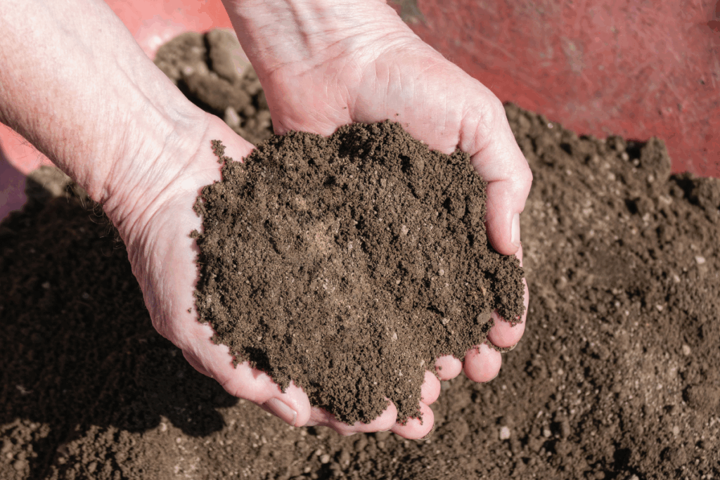 Topsoil Delivery