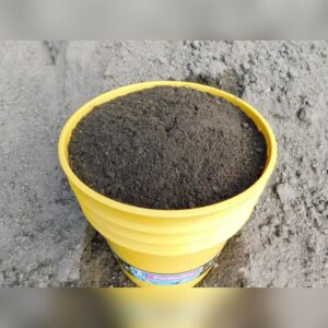 Lawn Mix