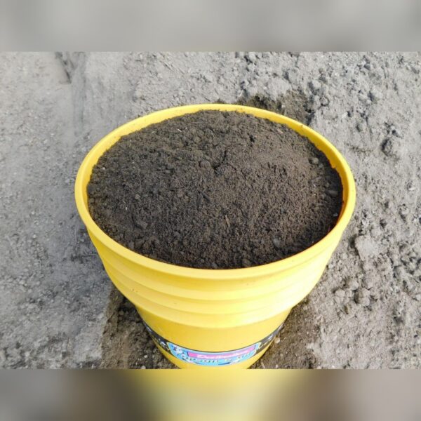 Lawn Mix