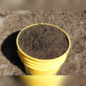 Lawn Overseed