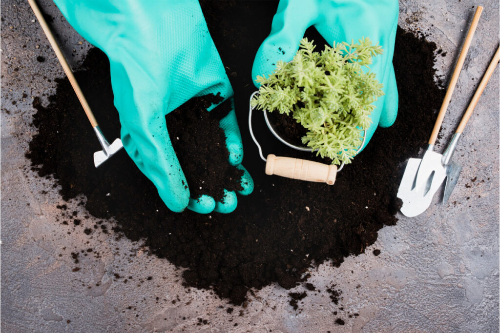 Quality Topsoil