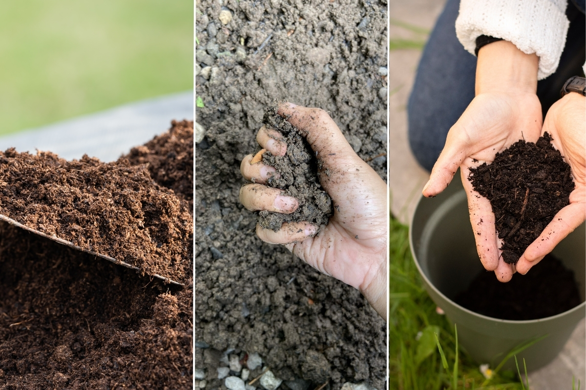 Topsoil vs. Fill Dirt vs. Compost
