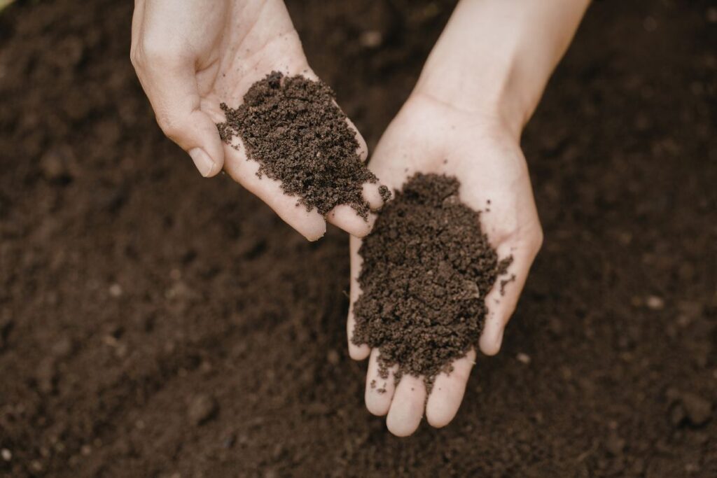 Topsoil