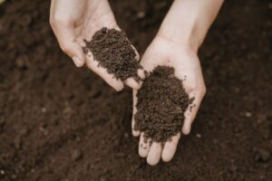 Topsoil